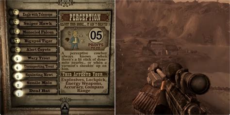 The Best Fallout New Vegas Luck Build.